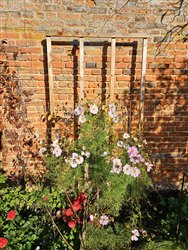 tourville-sur-arques (30)